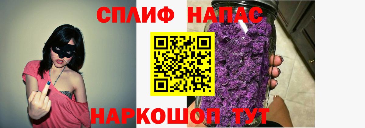 Каннабис конопля Донской